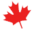 Maple Leaf Graphic